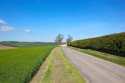 springtime english landscape with a country road through fields and hillsides under a blue sky