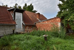 The roof of vine cellar overgrown with grass and old house
