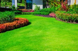 Front yard, landscape design With multicolored shrubs intersecting with bright green lawns Behind the house is a modern, garden care service, green grass with a beautiful yard for the background.