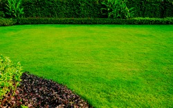 Garden landscape design peaceful Garden with a Freshly Mown Lawn fresh green grass both shrubs flower front lawn background,  smooth lawn with curve form bush garden care, Lawn with landscape design