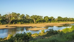 landscape of Shingwedzi riverbank in Kruger National Park, rainy season