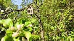 miniature toy house in apple flowers close up, spring natural background. symbol of family. mortgage, construction, rental, property concept. Eco Friendly home. soft selective focus. copy space