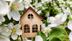 miniature toy house in apple flowers close up, spring natural background. symbol of family. mortgage, construction, rental, property concept. Eco Friendly home. soft selective focus. copy space