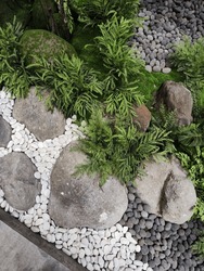 close up of white pebbles stone, gray pebbles stone, and river stone with natural decorative fern in a garden