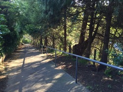 Bluff Hill Walking Track in Napier 