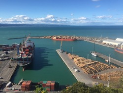 Bluff Hill Walking Track look down Napier port on sunny day 