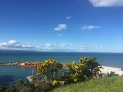Bluff Hill Walking Track look down Napier port on sunny day 