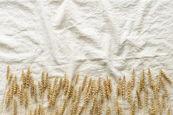Flat lay with dry ears of wheat on natural cotton tablecloth, background with empty space. Top view ears of cereal crops, wheat grain crop, harvest concept, minimal design, ripe cereals plants