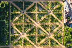 Green plant maze. Labyrinth Garden. geometric pattern of green hedge flowerbed. Hedge cut into a maze like puzzle pattern forming a garden labyrinth. Top down view