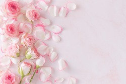 pink roses petals on pink marble floor