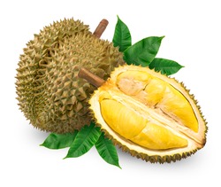 Fresh durian with leaf isolated on white background, Durian fruit isolated on white background With clipping path