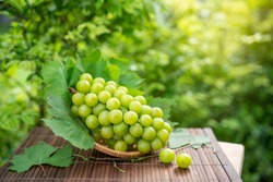 Green grape in Bamboo basket on wooden table in garden, Shine Muscat Grape with leaves in blur background