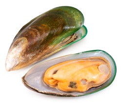 Green Shell mussels  isolated on white background, Fresh New Zealand mussels or Perna Canaliculus on White Background With clipping path,