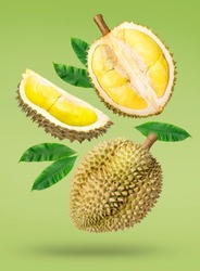 Fresh durian with green leaves falling in the air isolated on green background, Durian fruit on green background With clipping path.