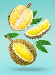 Fresh durian with green leaves falling in the air isolated on green background, Durian fruit on green background 