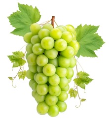 Sweet Green Grape with leaves isolated on white, Shine Muscat Grape isolated on white background With clipping path.