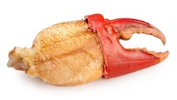 Boiled claw crab With Crab meat isolated on white background, Scylla serrata or Sea Crab on white With clipping path.