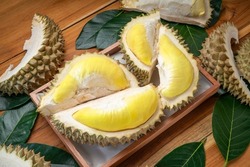 Fresh Durian fruit on wooden background, Durian fruit with delicious golden yellow skin with soft sweet and fragrant.