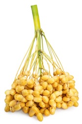 Bunch of Yellow date palm isolated on white background, Yellow date palm on white With work path.
