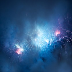 A beautiful fireworks in the night sky