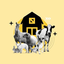 farm, farm animals, horse, cow, sheep, pig, dog, chicken, basic farm animals, make money with farm, buying animals, business growth, concept, collage art, photo collage