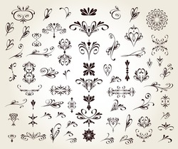 Set of floral decorative elements for design isolated, editable. 
