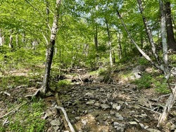 A hike through the mountains, viewing forests and streams, leading to Dark Hollow Falls at Shenandoah National Park.