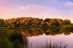 Beautiful autumn sunset landscape with seagull hovering in sky above the pond reflecting blue sky white pink clouds and yellow green forest trees across pond.