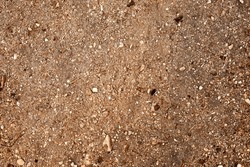 Gravel and earth texture. Small pebbles and sand background