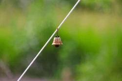 Rusted small bell hanging on a rope