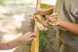 Child petting a snake with handler