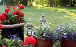 Summerflowers in pots with a lawn in the backgrund