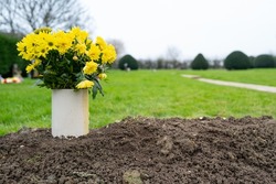 Freshly dug grave in q quiet cemetery. The grave is unmarked and shows a fresh bunch of yellow flowers on the soil heap.