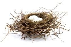 bird nest with two eggs isolated on white background