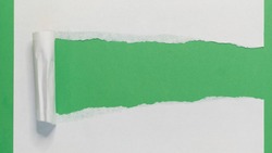 Torn Paper Strip on Green. Torn Paper showing green background isolated on a white background
