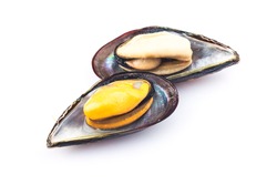 Cooked mussels are isolated on a white background.