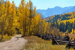 Autumn Valley - A backcountry road winding in a colorful valley at base of rugged Sneffels Range on a sunny Autumn day. Uncompahgre National Forest, Ridgway-Telluride, Colorado, USA.