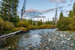 Mountain Creek - An autumn evening at Middle Fork Elk River, Routt National Forest, near Steamboat Springs, Colorado, USA.