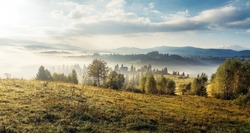 Unsurpassed misty morning in the mountains during sunrise. Amazing nature scenery. Stunning alpine Landscape. Wonderful counfryside with fog under sunlight. picture of wild area. Natural background.
