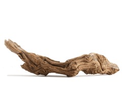 Various textured pieces of driftwood on white background. Isolated. Cutout. 