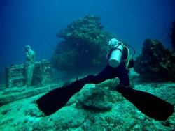 Dive in the Cancun Sea