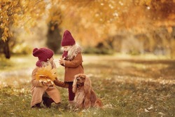 Girls in brown coat walking in the park in autumn with dog spaniel