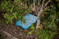 A blue lid water meter manhole covered by grass and bushes.