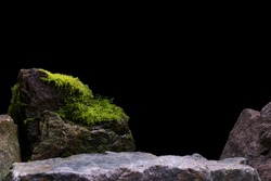 Green Wet Moss, Showing a Blurred Rock Foreground leading to a Natural Stone Mineral.