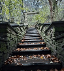 A stone stairs with leaves on it