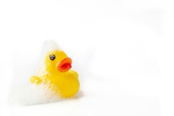 One Yellow rubber duck with soap suds on its head on white background