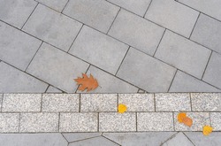 Autumn Sidewalk Top View. Yellow Fallen Leaves on Modern Pathway, Gray Concrete Paving Stones with Autumn Leaf Top View