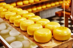 Cheese wheels on the shelves in diary production factory 