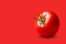red tomato with a green stalk, on a red background, concept, copy space