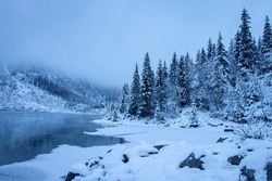 Fir trees in mountains near icy lake. Fog in winter mountains. Winter nature landscape. Amazing view on ice mountain lake in mist.